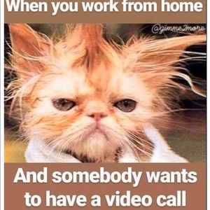 Meet your Posher, Kim maree